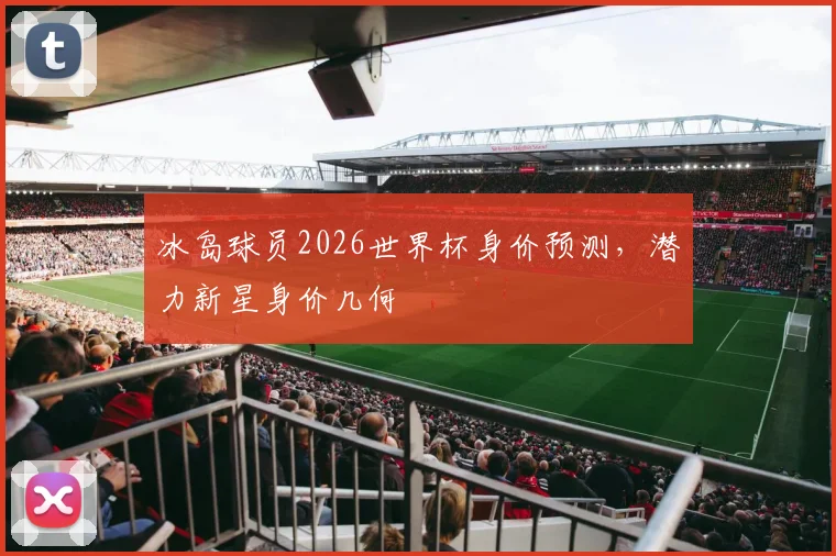 冰岛球员2026世界杯身价预测，潜力新星身价几何