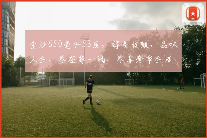金沙650毫升53度，醇香佳酿，品味人生，尽在每一滴，尽享奢华生活。