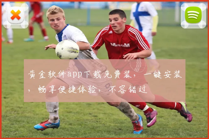 黄金软件app下载免费装，一键安装，畅享便捷体验，不容错过